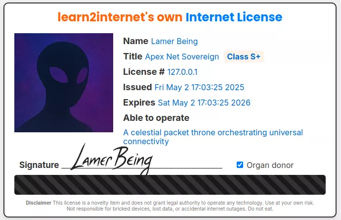 Sample learn2internet novelty license